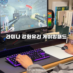 [라미나] 강화유리 게이밍 패드 후기｜서든어택 유저 마우스 패드 추천
