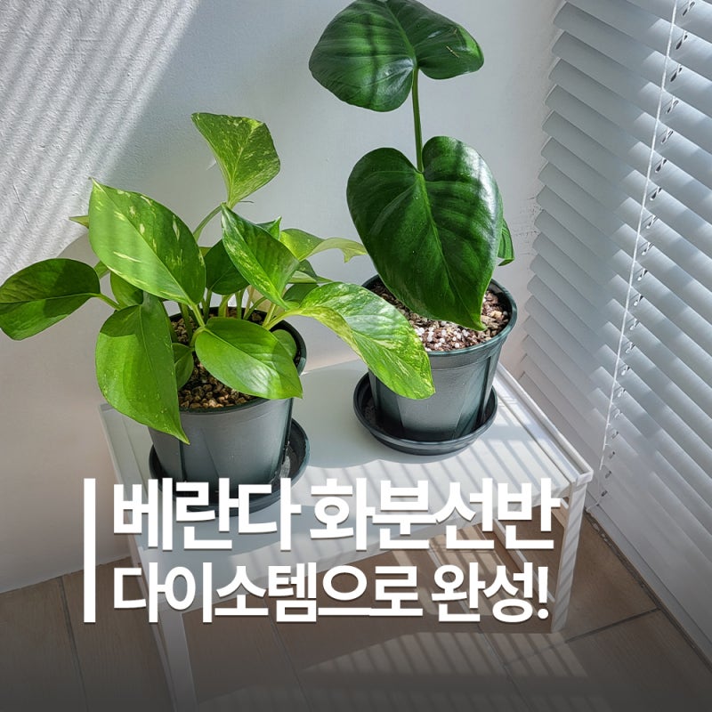 다이소로 베란다 화분선반 만들기 DIY | 실내 화분정리대 셀프 제작!