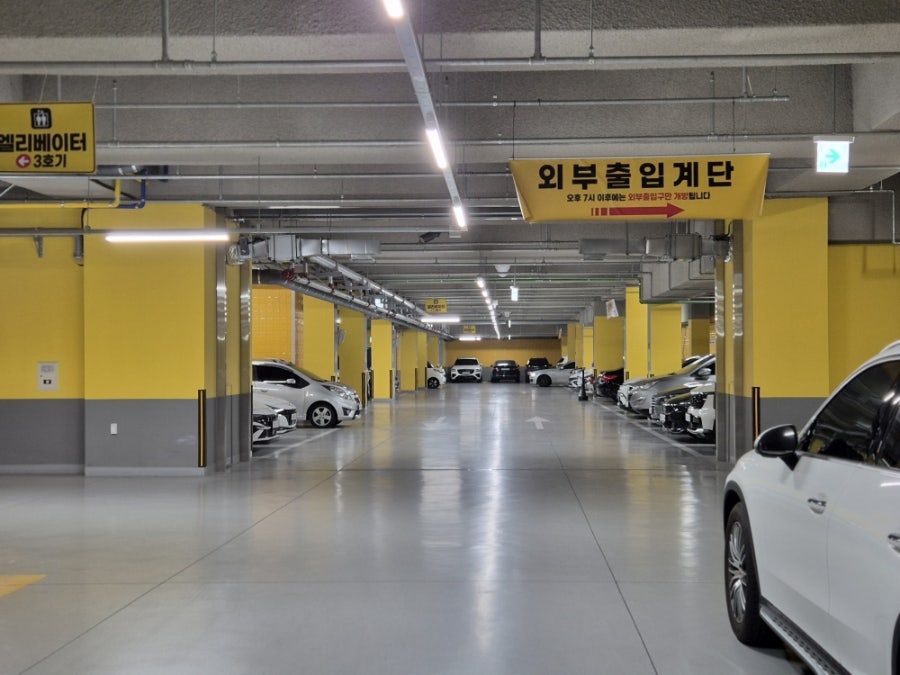 수정자갈치꼼장어 사진 2
