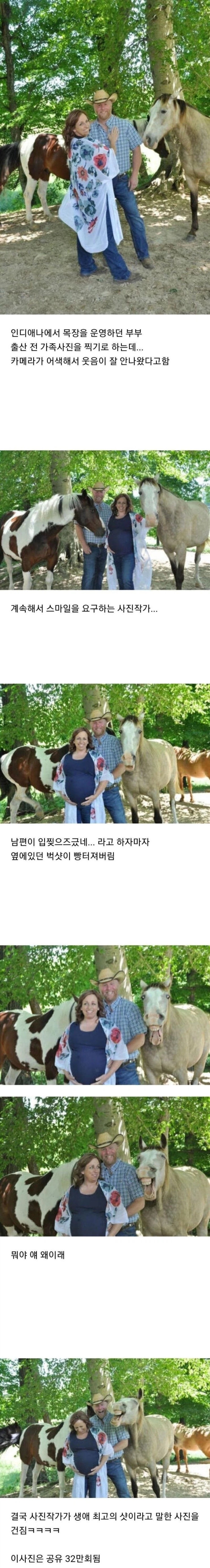  사진 찍는 부부에게 느닷없이 다가온 말 한 마리.jpg