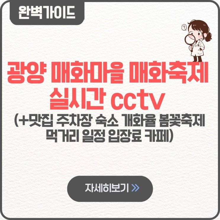  광양 매화마을 매화축제 실시간 cctv 무료 주차장 셔틀버스 맛집 숙소 날씨 기본정보 개화율 개화시기 2026 봄꽃축제 먹거리 일정 입장료 카페 전남