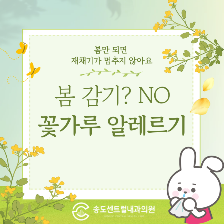  봄만 되면 재채기가 멈추지 않아요! 감기vs꽃가루 알레르기