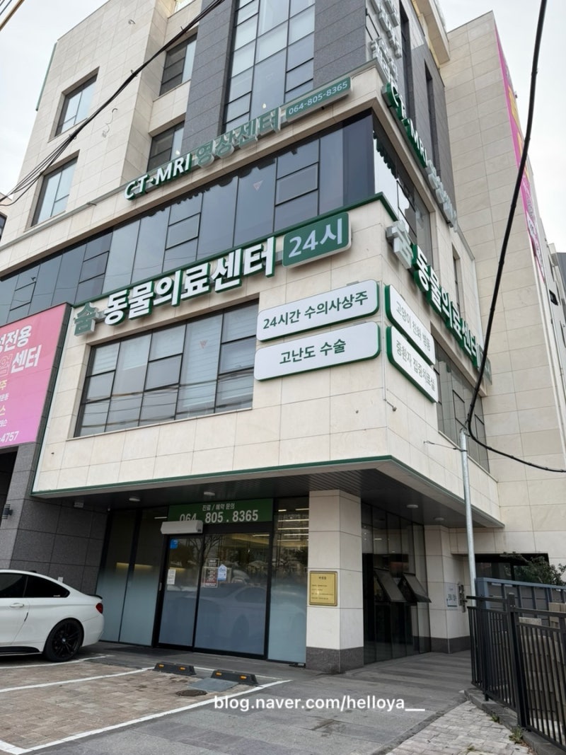 고양이 건강검진 제주숨동물의료센터