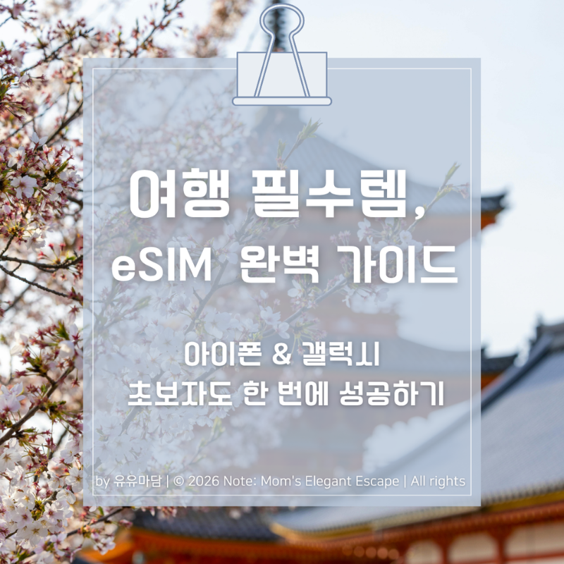 여행필수템 eSIM 설치 완벽 가이드｜갤럭시&아이폰 초보자도 한 번에 성공하기