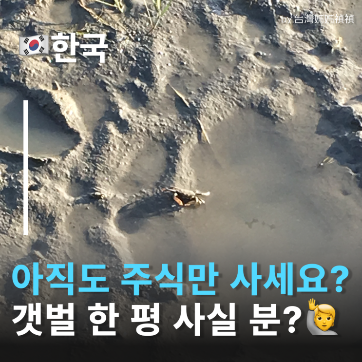  부안갯벌체험 갯벌마을 갯투게더 사라지는 부안 갯벌살리기! 갯벌마을입주로 지구를 지켜요