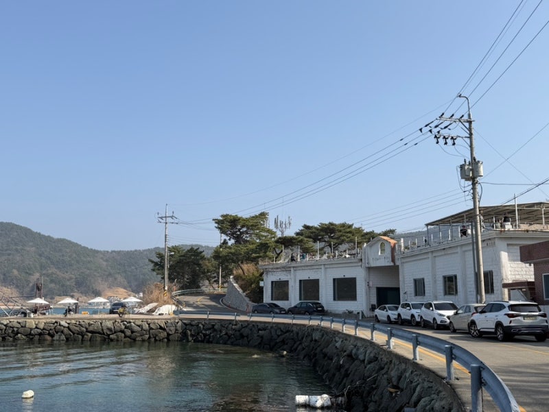 사진 10