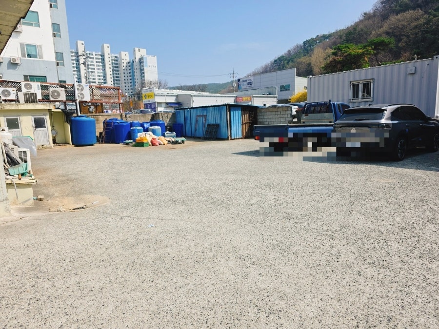바바손만두김밥 사진 6