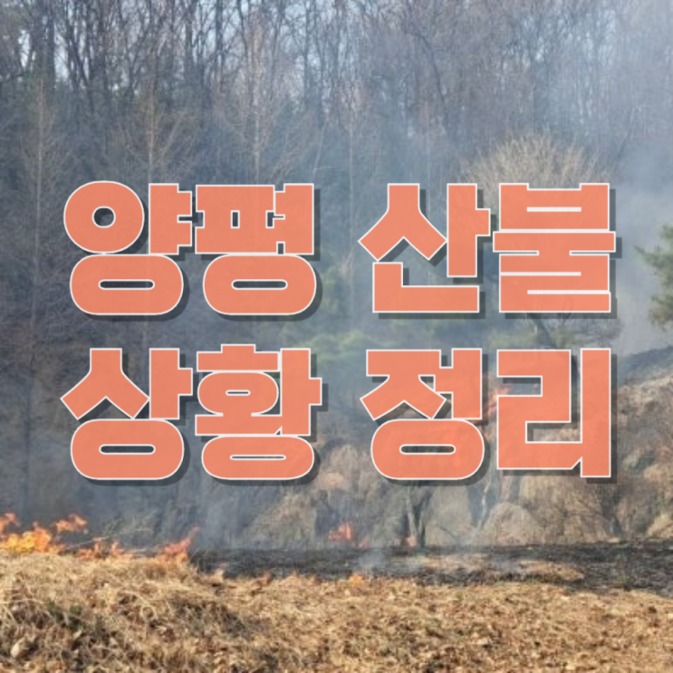  양평 산불 2시간 만에 진화…“사전 대피 문자까지” 상황 총정리