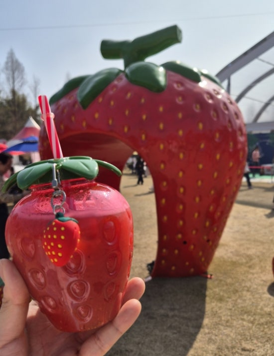  주말 논산 딸기축제 방문기 [가까운 임시주차장 공유, 딸기가격, 인기매장 위치]