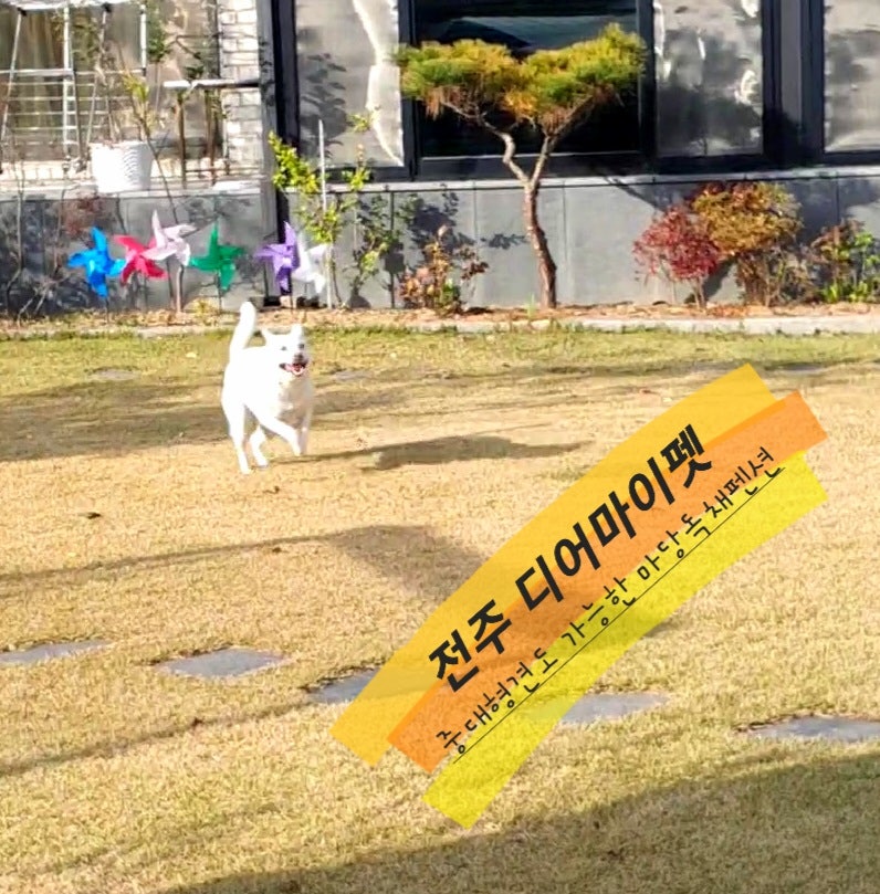사진 6