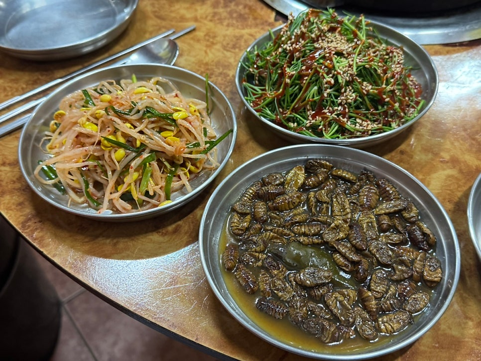 불티꼼장어 사진 6