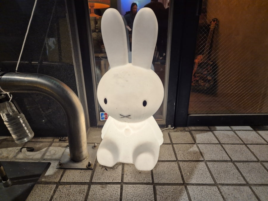 지나리 사진 2