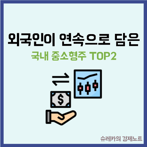  외국인이 연속으로 쓸어담은 국내 중소형주 TOP2