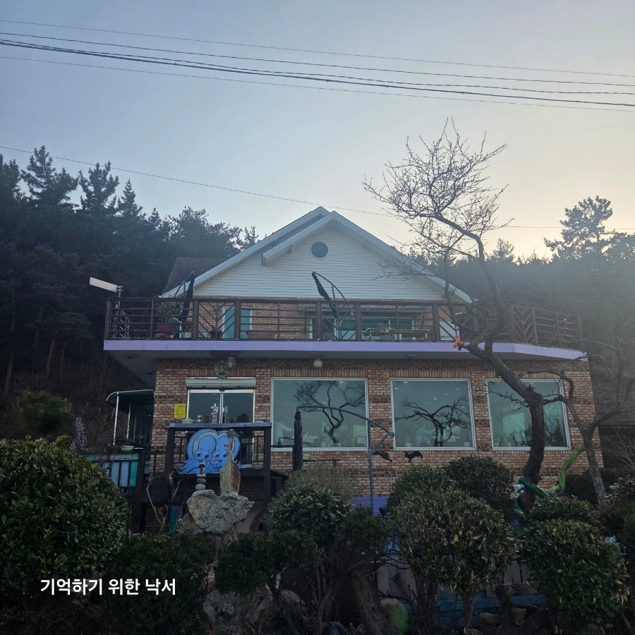 낙지한마당 사진 1