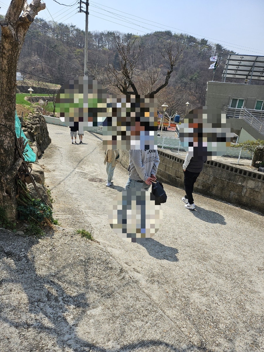 감나무집 사진 2