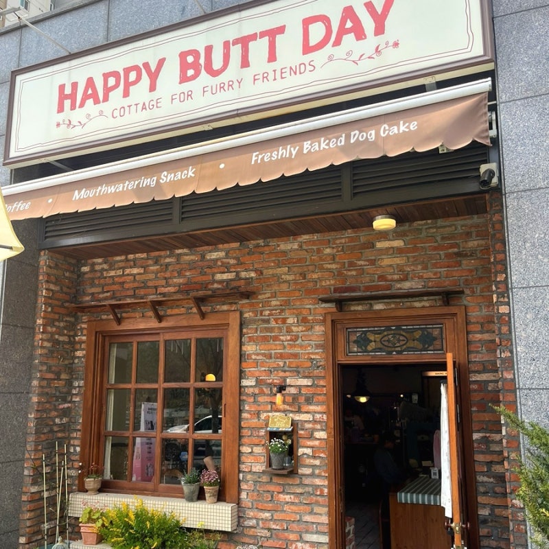 사진 2