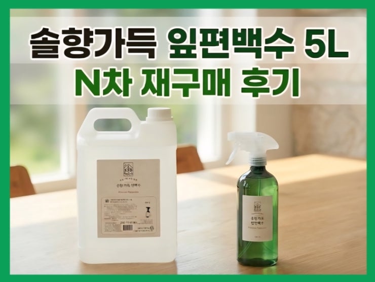  솔향가득 잎편백수 N차 재구매 | 10종 이상 써보고 정착한 편백수