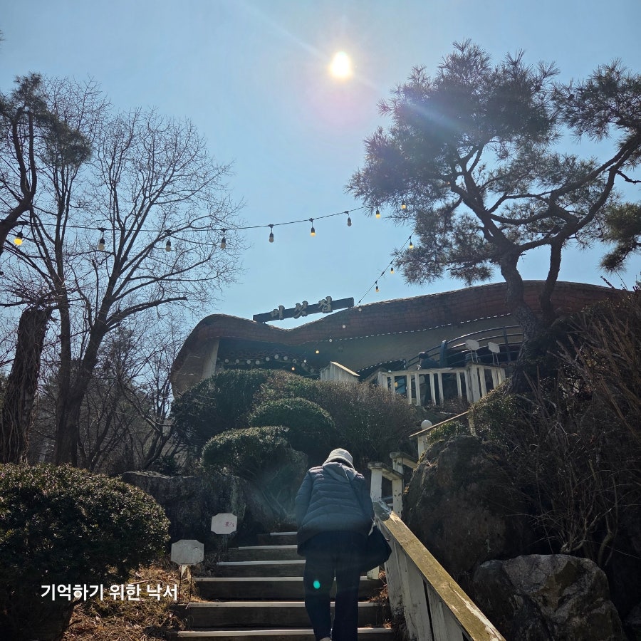 버섯집 사진 1