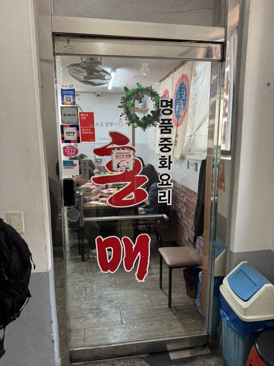 홍매 사진 3
