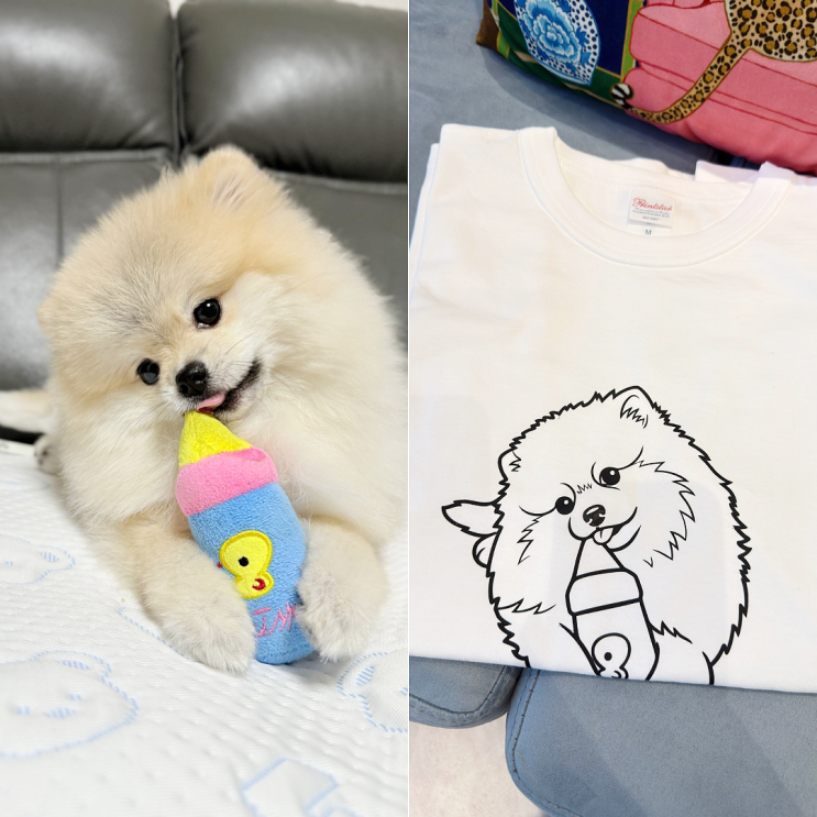  강아지 커스텀 티셔츠 제작 후기｜포메 먼지 쭙쭙이 시그니처를 일러스트로 남겨봤어요