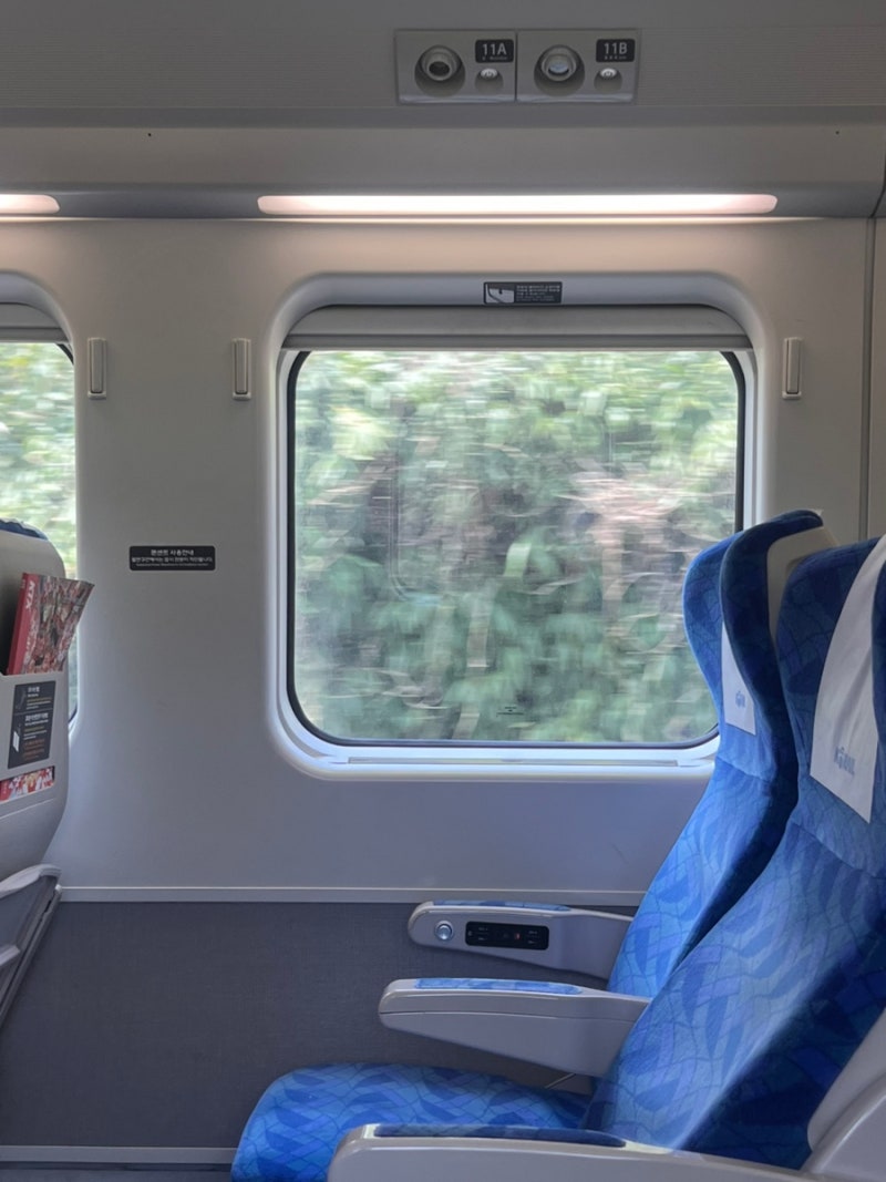 동해선 KTX
