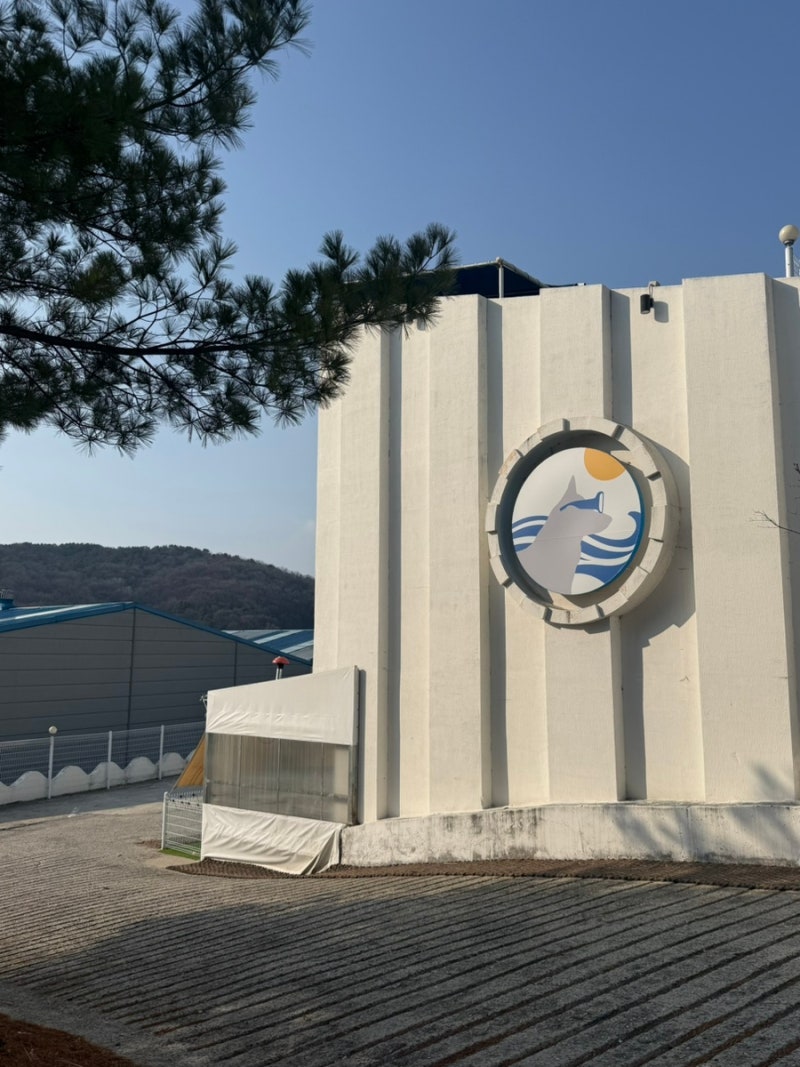 사진 7