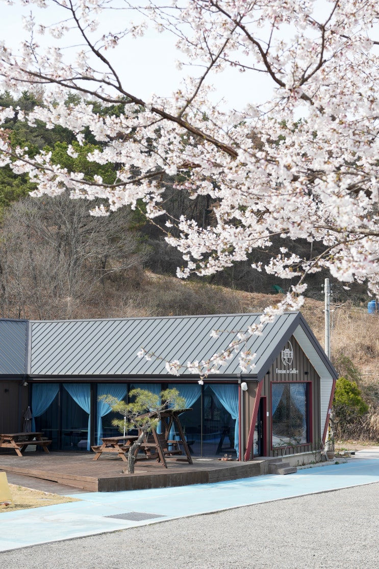  경전선동쪽자전거도로|꽃놀이야