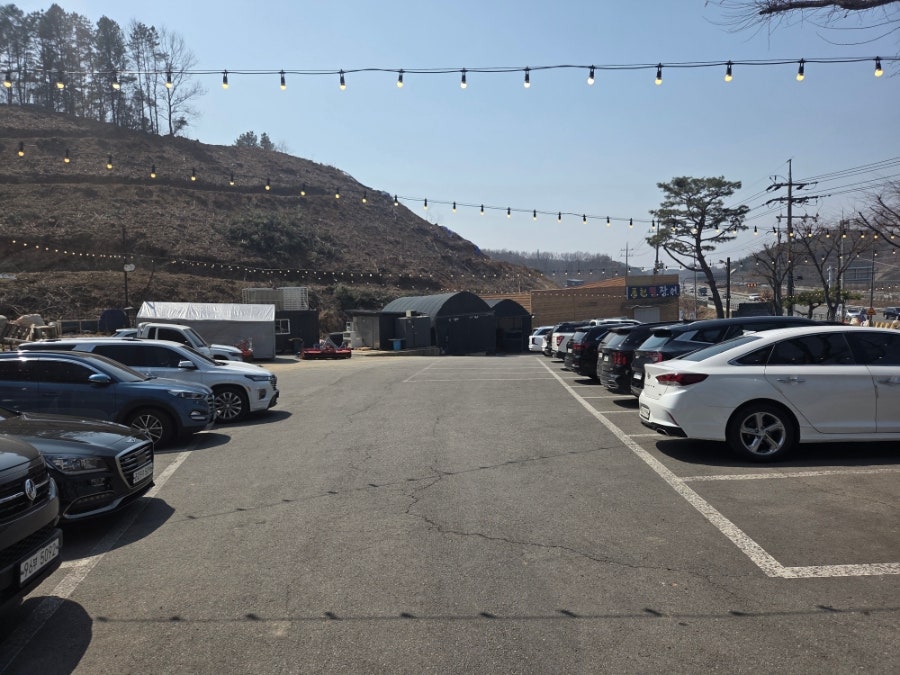 풍천뻘장어 사진 2