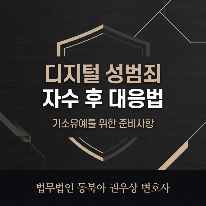 불법촬영물 다운로드, 기소유예를 위해 지금 준비해야 할 것들(디지털 성범죄) 관련 이미지 1