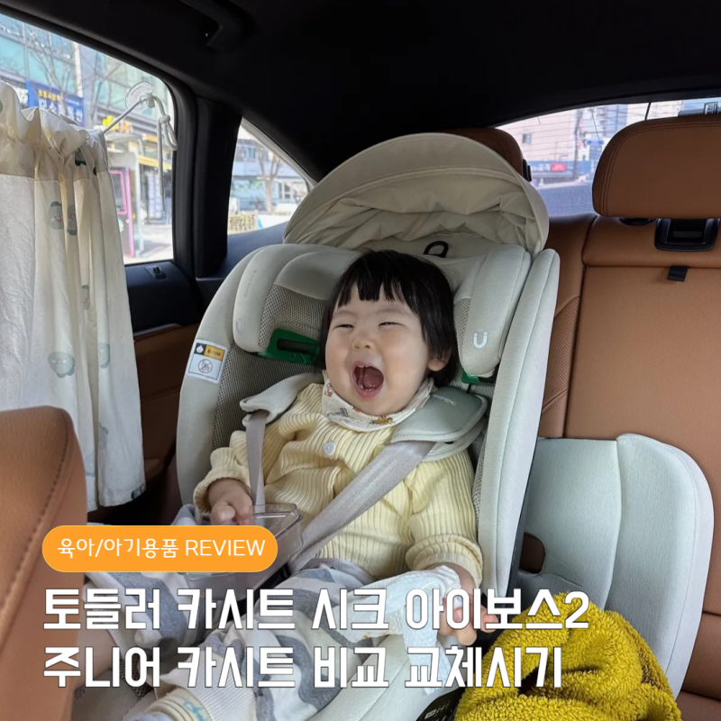 시크 토들러 카시트 추천 주니어 겸용 비교 교체시기 맥스 아이보스 2