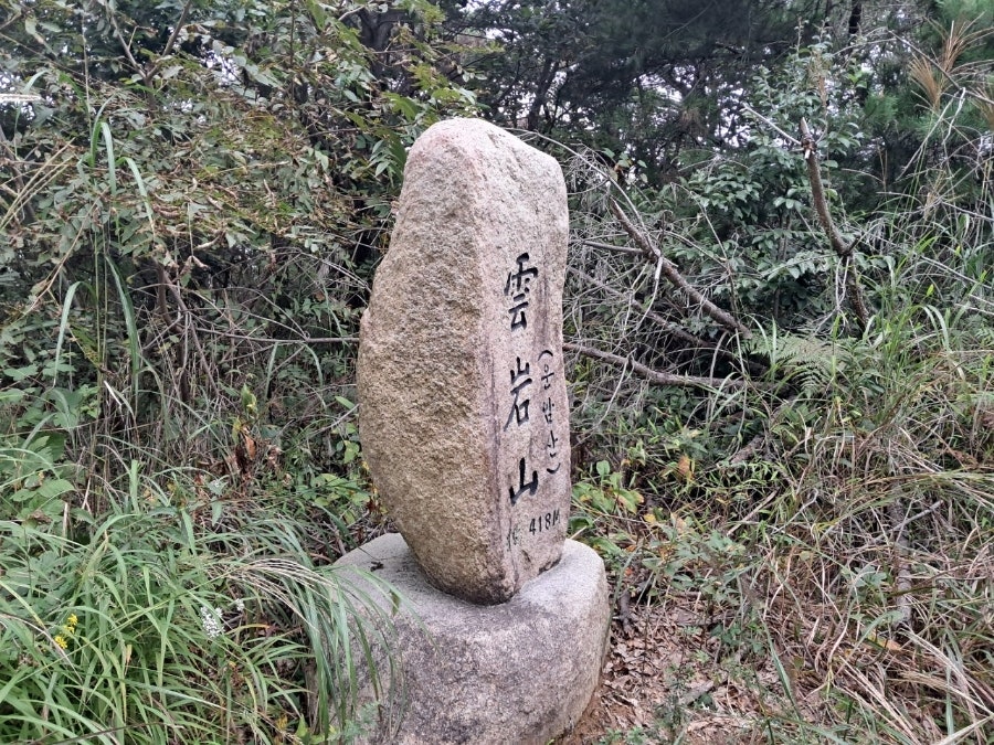 운암산 사진 4