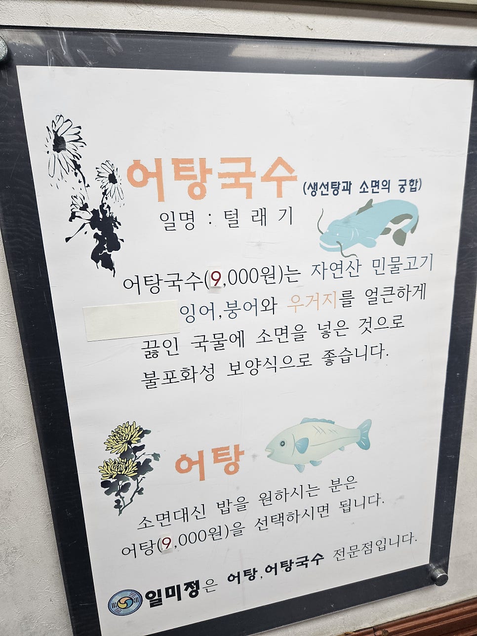 일미정 사진 5