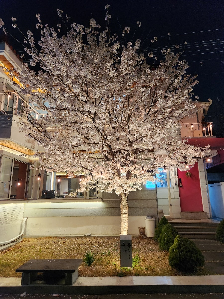 수목458 사진 2