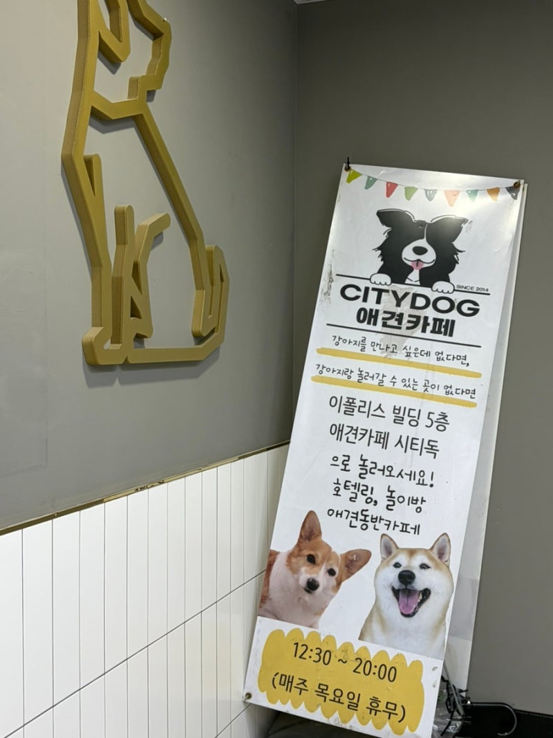 사진 3