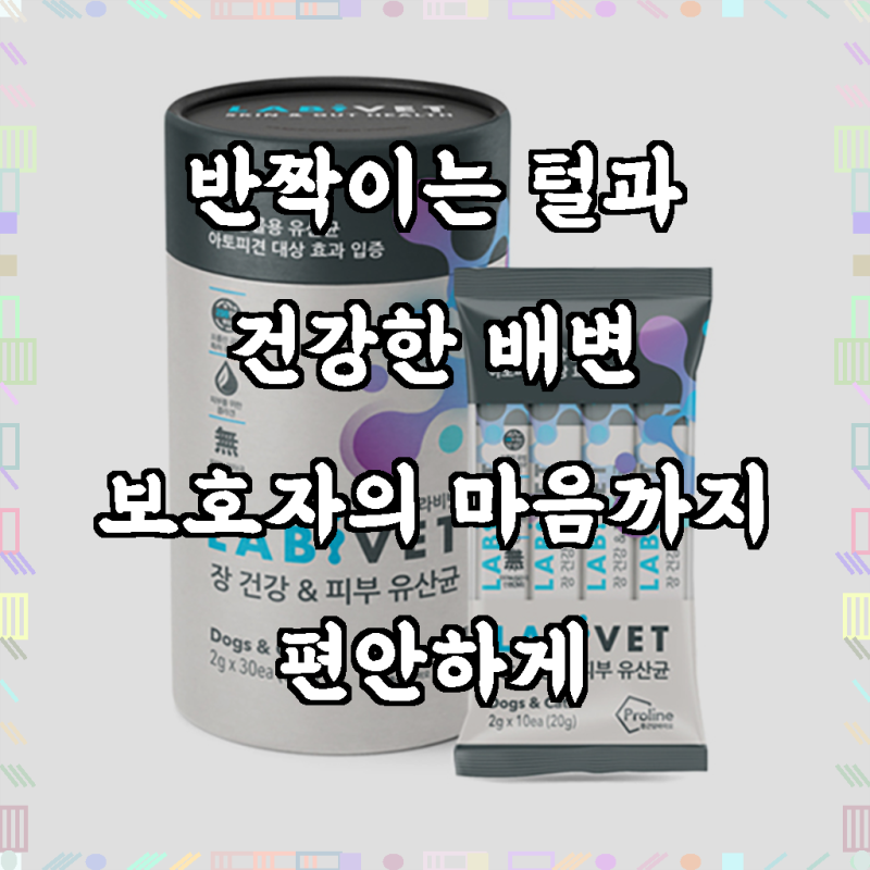 종근당라비벳 반려동물 영양제, 30회분, 피부/피모장건강, 1개, 우리 아이, 혹시 이런 고민 없....