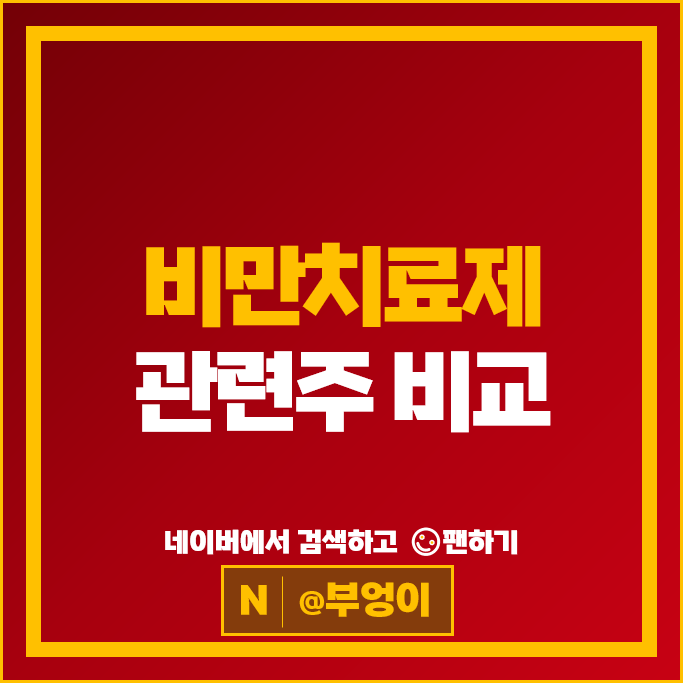 비만치료제 관련주 : 비만약 광풍 등으로 급등 Top 12 종목