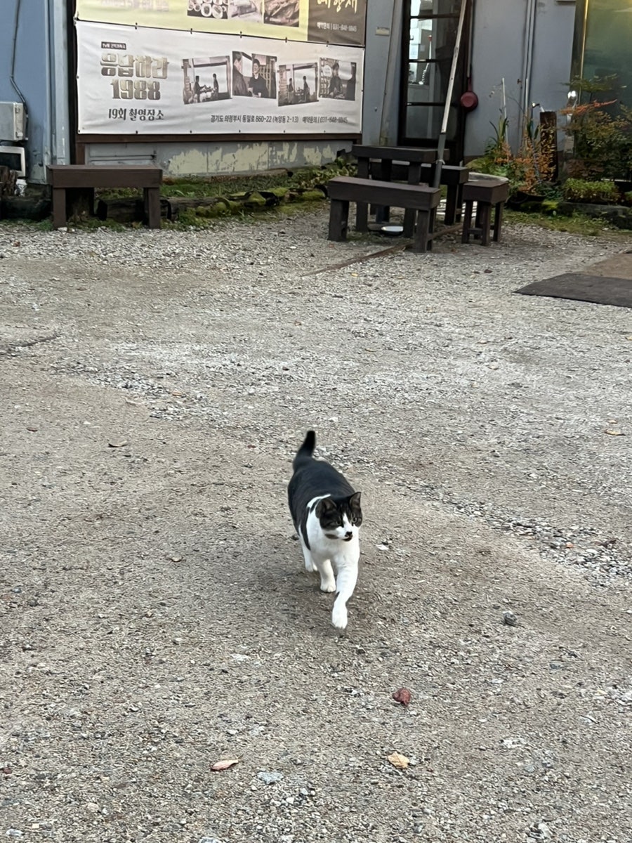예향재 사진 3