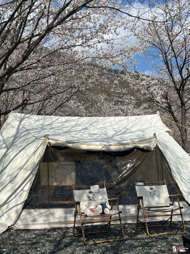  영월 캠핑장 '산솔오토캠핑장' 명당, 시설 및 주차, 매점 부대시설 총정리