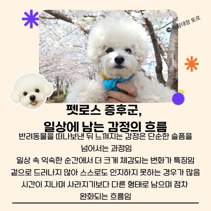 <b>구성환 꽃분이</b>로 다시 생각해본 펫로스 증후군, 우리가 놓치기... 