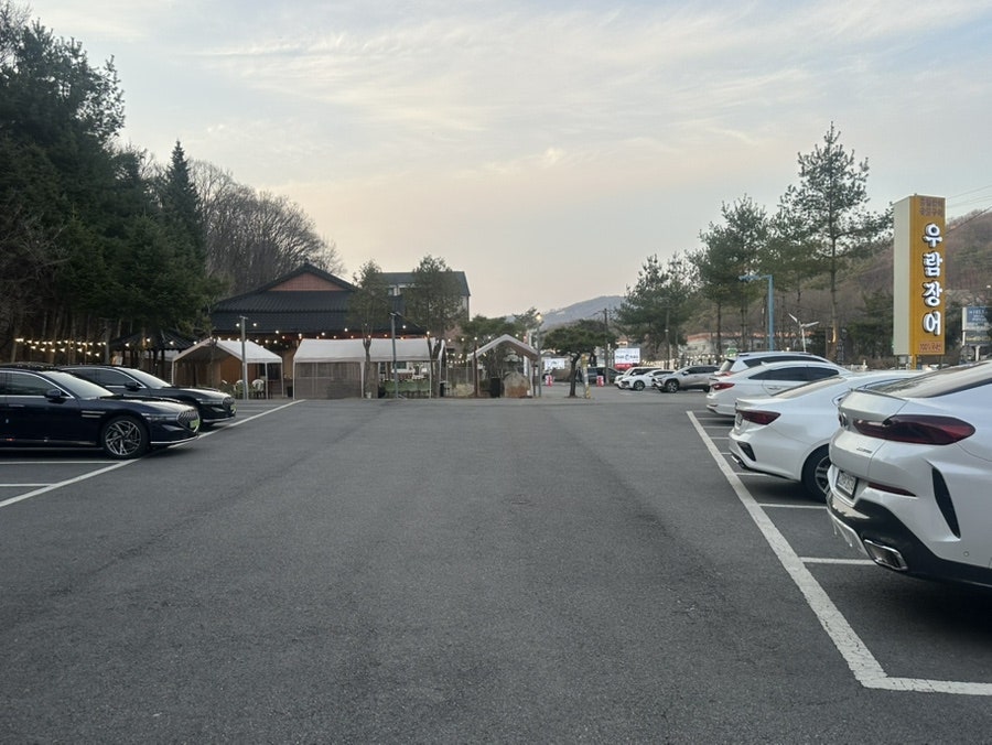 우람장어 사진 4