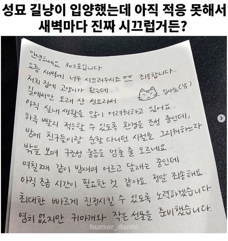  성묘 길냥이 입양했는데 아직 적응 못해서 새벽마다 진짜 시끄럽거든?
