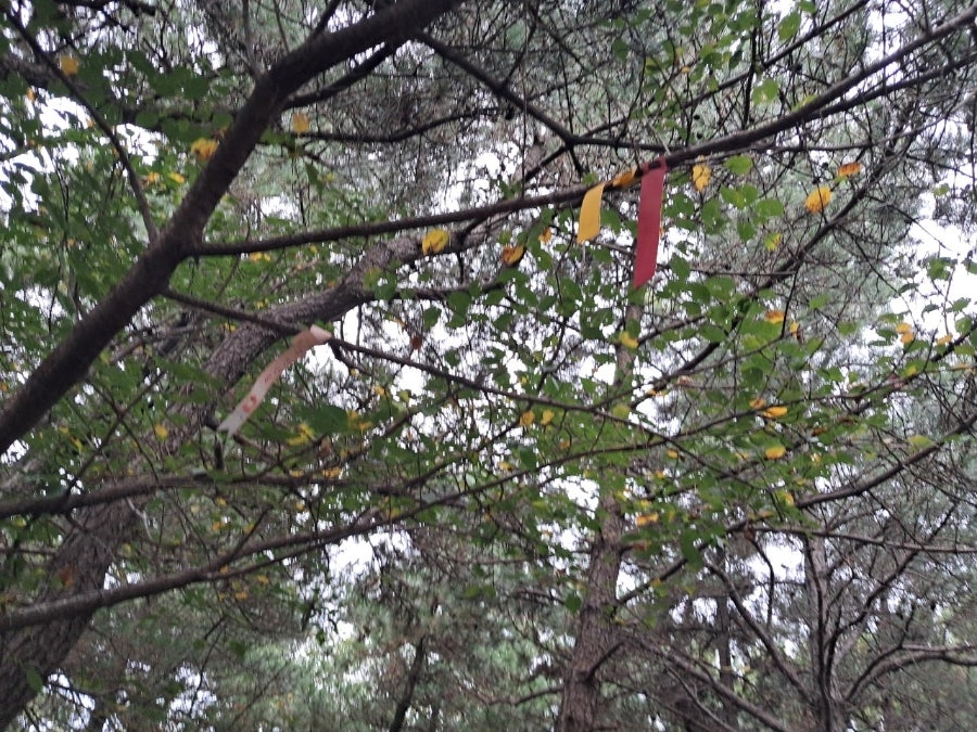 운암산 사진 5
