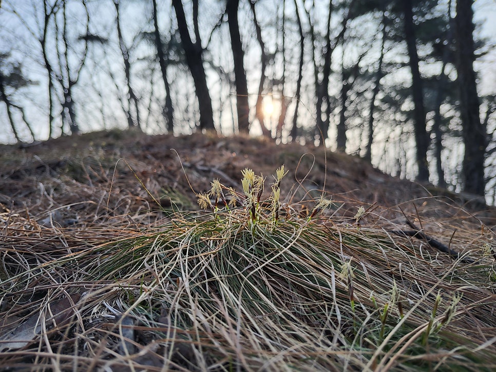 맹자산 사진 3