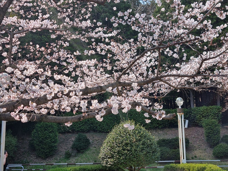 사진 3