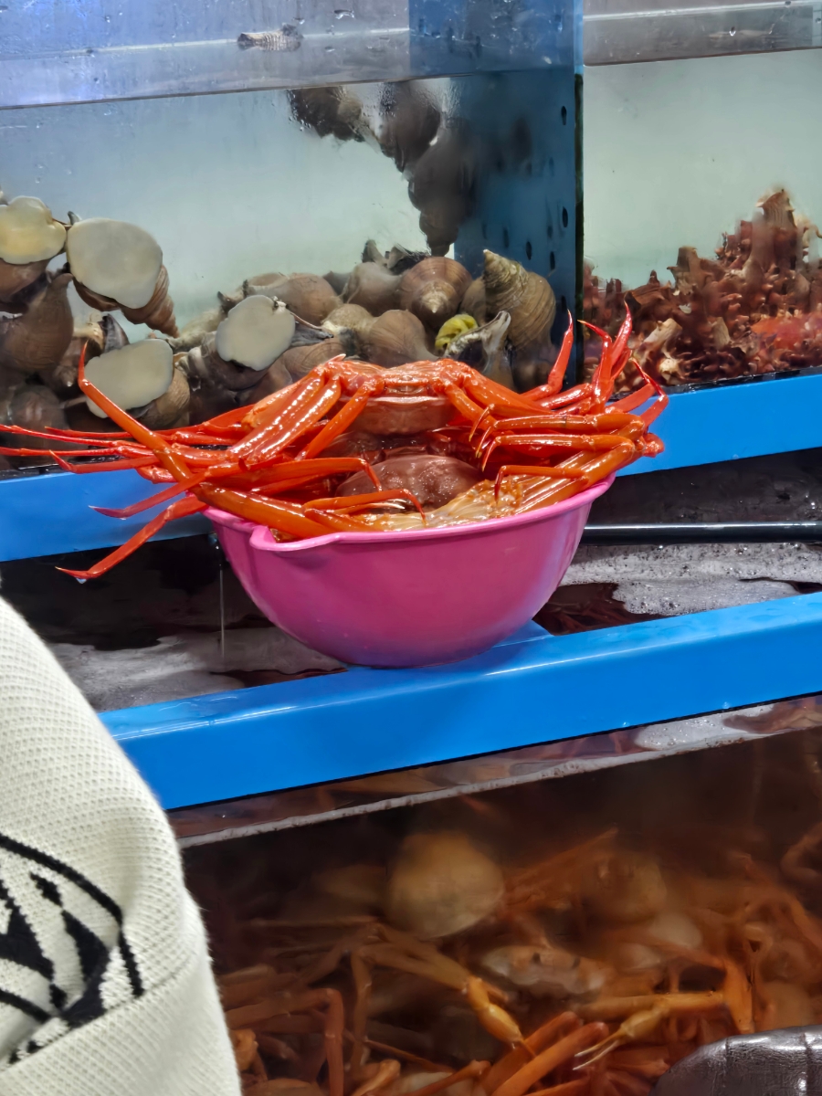 미향해물 사진 5
