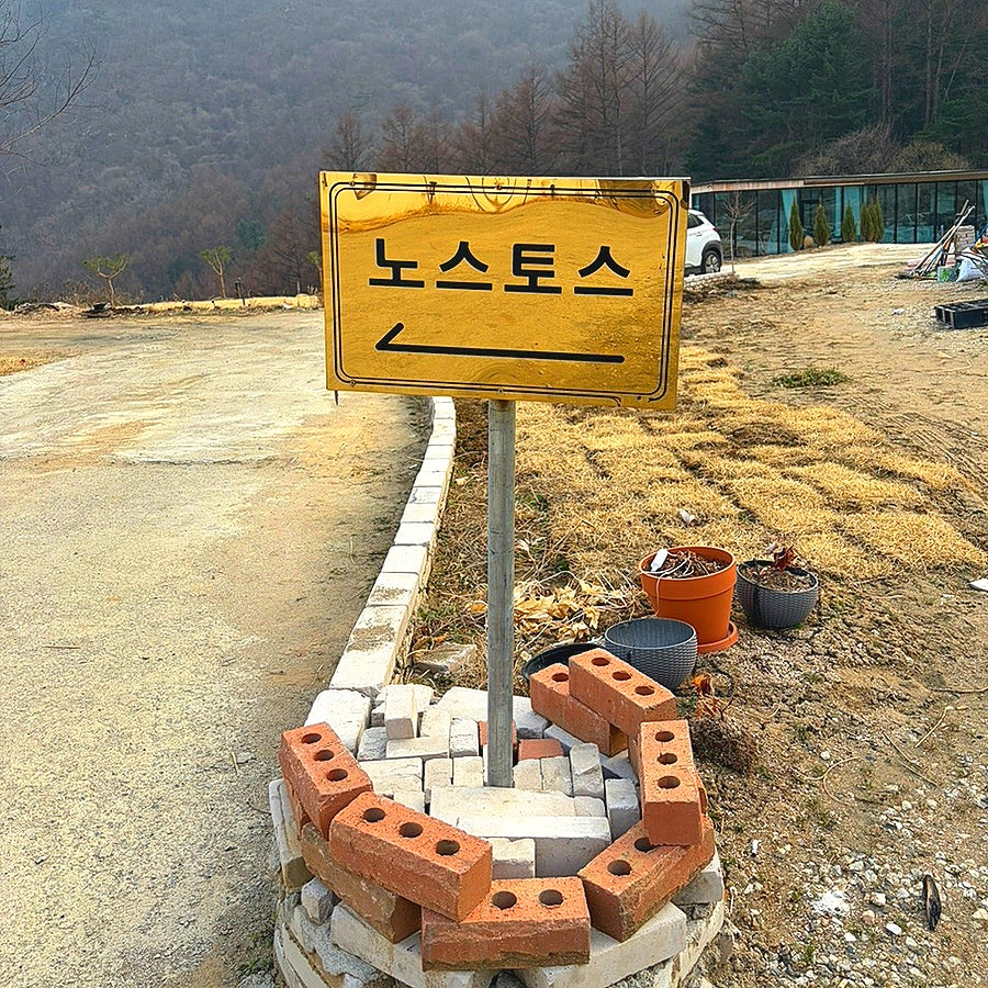 노스토스 사진 3