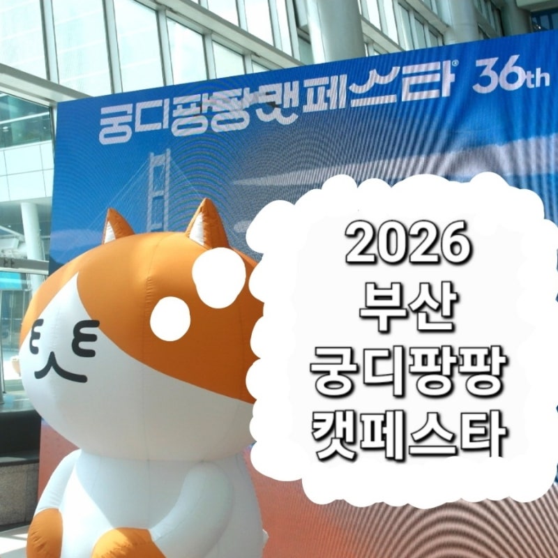 2026 부산 궁팡, 3/28 토요일 궁디팡팡 캣페스타 총정리 및 사냥 후기