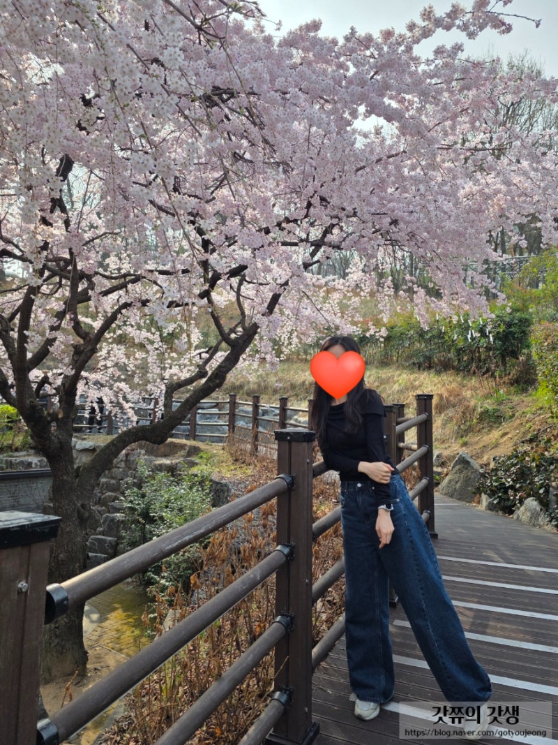 사진 5