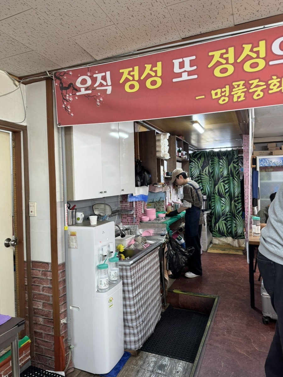 홍매 사진 6