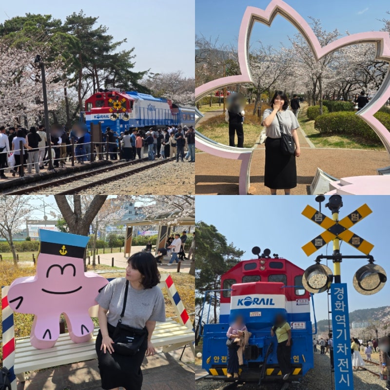 사진 5